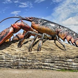 Meet your Posher, Demond